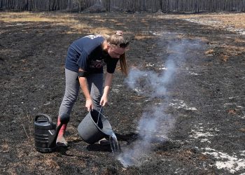 Bosbranden in Gironde verwoesten huizen en treffen toeristensector