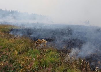 Historische natuurbrand teistert Hoge Venen: 'Iedereen moest direct weg'