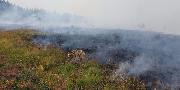 Historische natuurbrand teistert Hoge Venen: 'Iedereen moest direct weg'